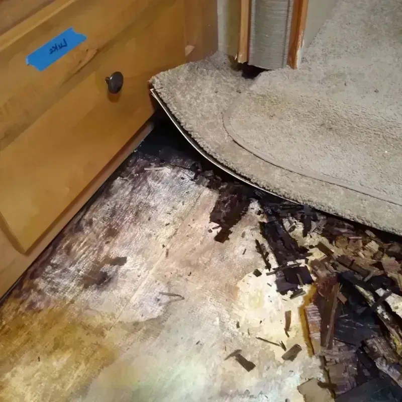 Wood Floor Water Damage in Chester, SC